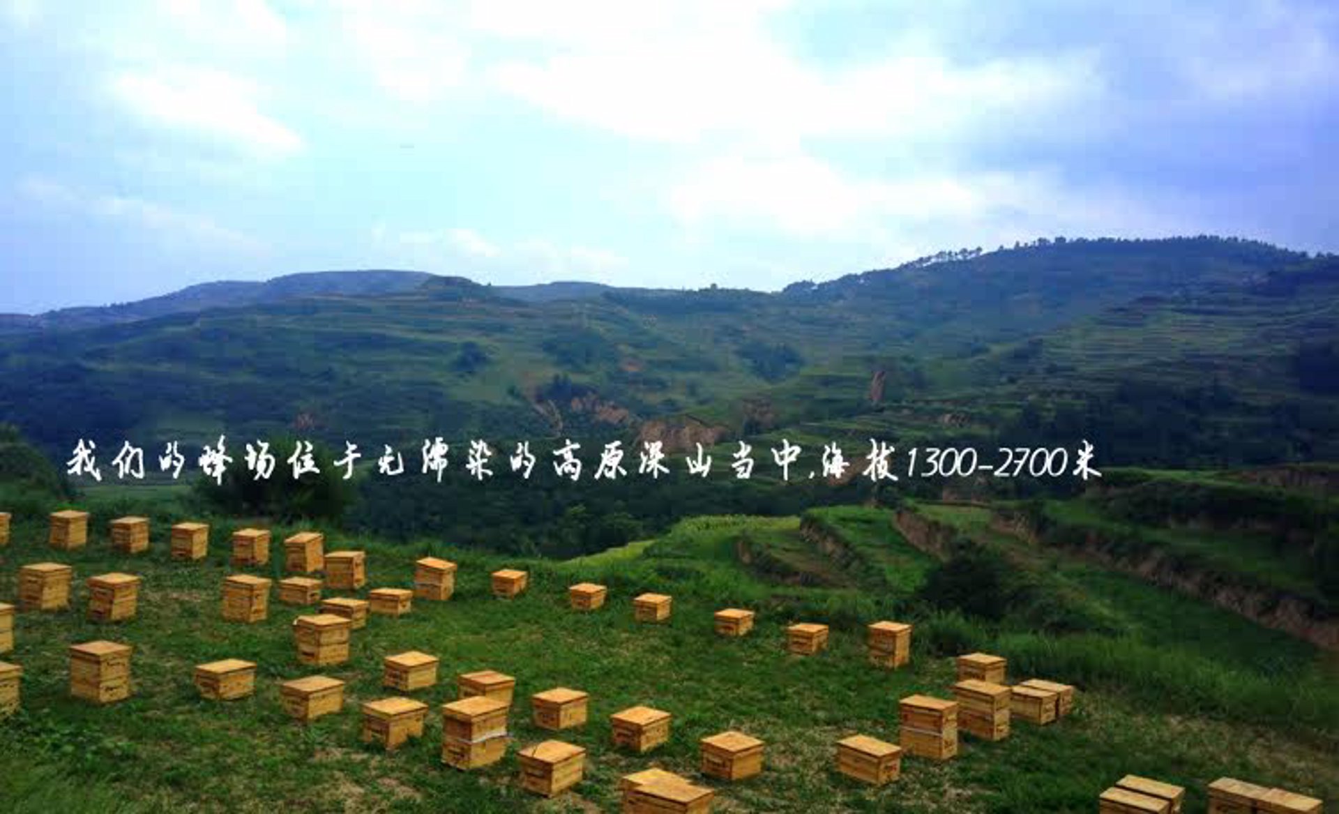 房蜂堂蜂业